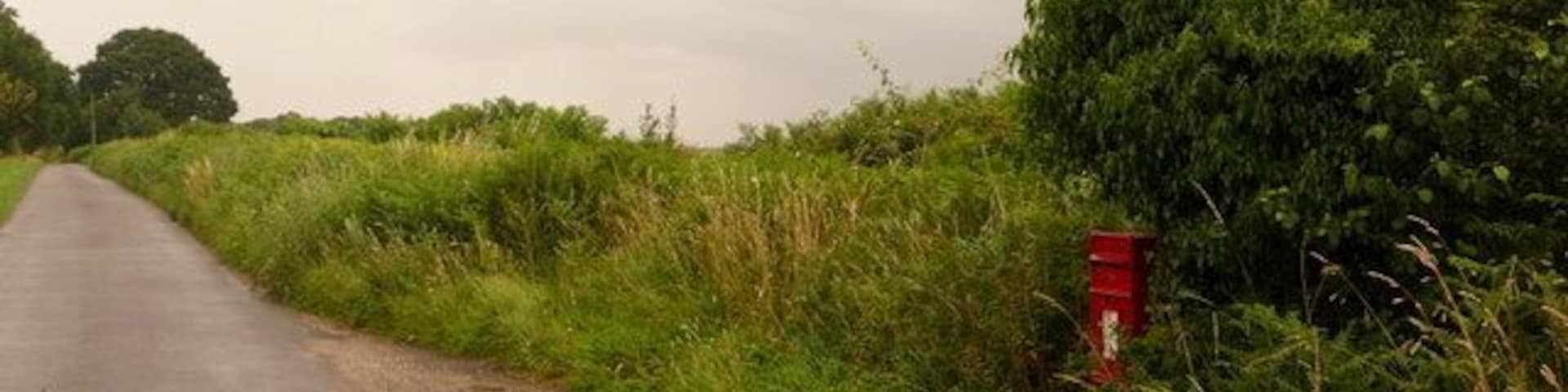 Farnham: postbox â DT11 78, Newtown This modern postbox is attached to a wooden post which has almost become a tree, so overgrown has it become. The box is emptied at noon each day, except Sunday.