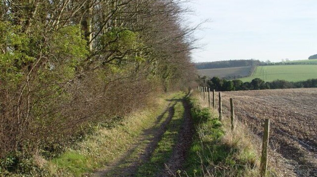 Bridleway towards Rendezvous Plantation