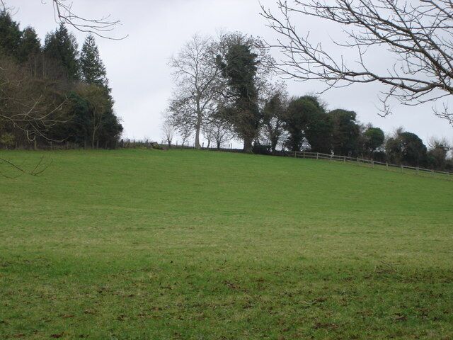 Behind Tarrant Gunville