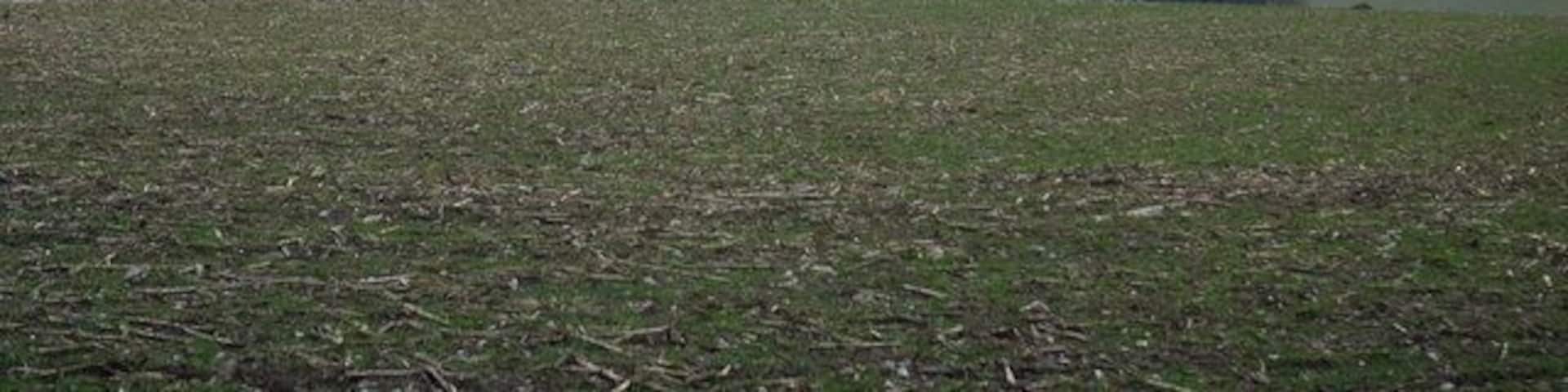 View from Blandford Camp