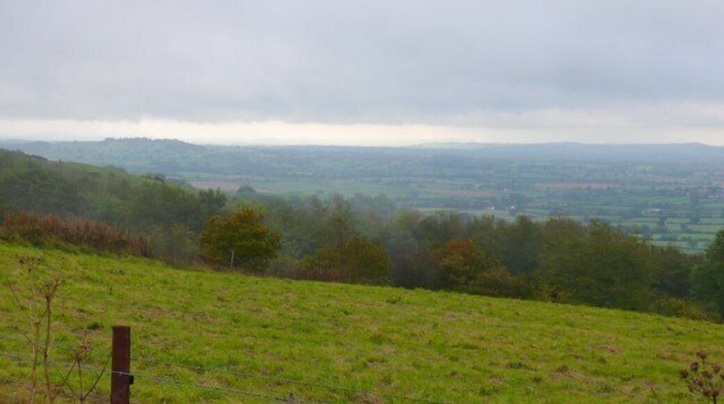 Woolland Hill This is in the very north western corner of the square looking north west down Woolland Hill.