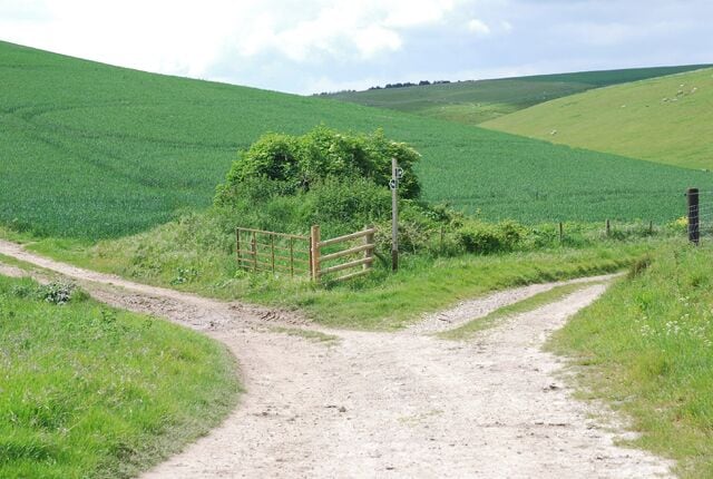 Bridleway Junction Left towards South Down, right towards Coombe Bottom.
