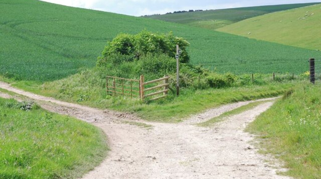 Bridleway Junction Left towards South Down, right towards Coombe Bottom.