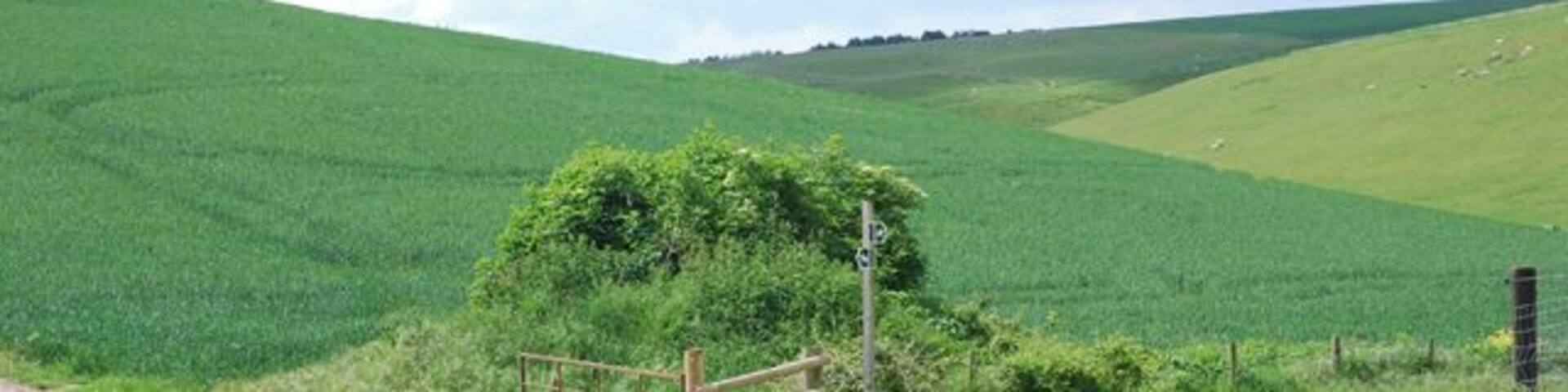 Bridleway Junction Left towards South Down, right towards Coombe Bottom.