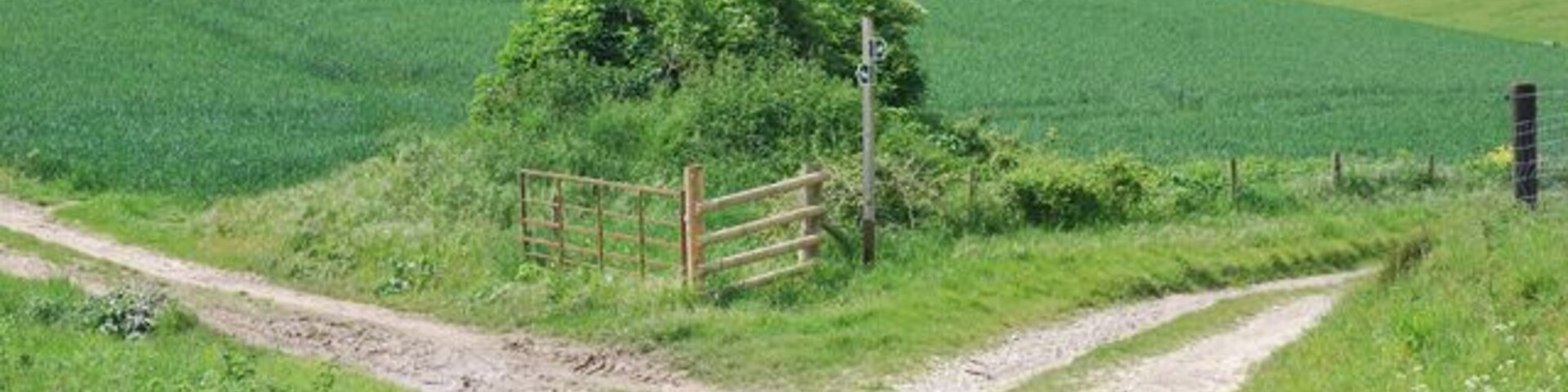 Bridleway Junction Left towards South Down, right towards Coombe Bottom.