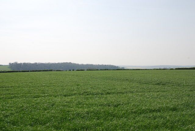 Farmland near Winterborne Whitechurch