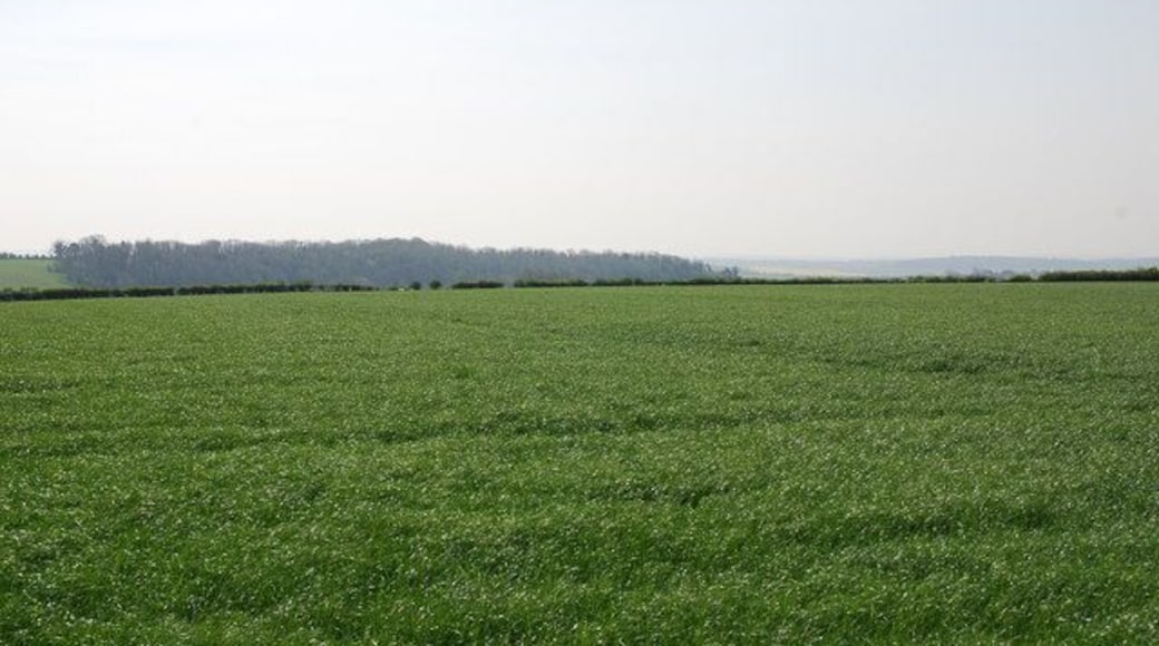 Farmland near Winterborne Whitechurch