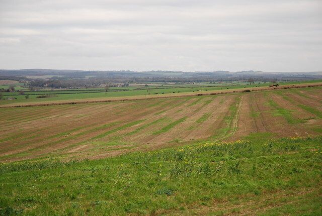 Farmland above Tarrant Monkton I believe that the stripes on this field have been caused by "strip feeding" where the cows have been allowed access to the field one strip at a time.