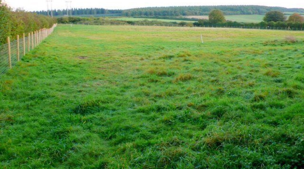Fields near Lincoln farm The minor road cuts the very north west corner of the square. This is the view south east from just inside the square close to where the footpaths meet the road.