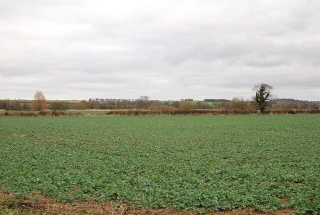 View over farmland towards River Stour Sadly no sign of river in distance (it is well below this ground level).