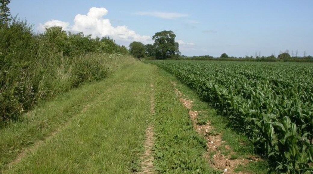 Winterborne Kingston, Roman road Site of a Roman road, North-east from Dorchester to Salisbury, part of which is Ackling Dyke; currently here a bridleway.