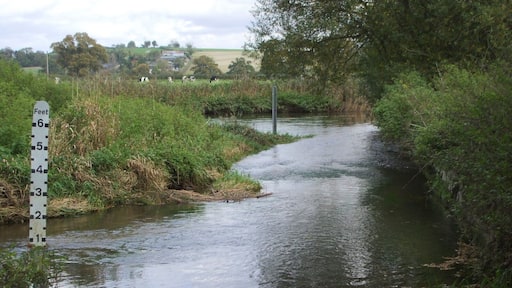 Ford, Charlton Marshall, Dorset Behind the well visited church is this superb ford over the River Stour. It's actually on a bridleway, so good to cross on horseback, but at nearly a foot high of water it would be something of a paddle for walkers.