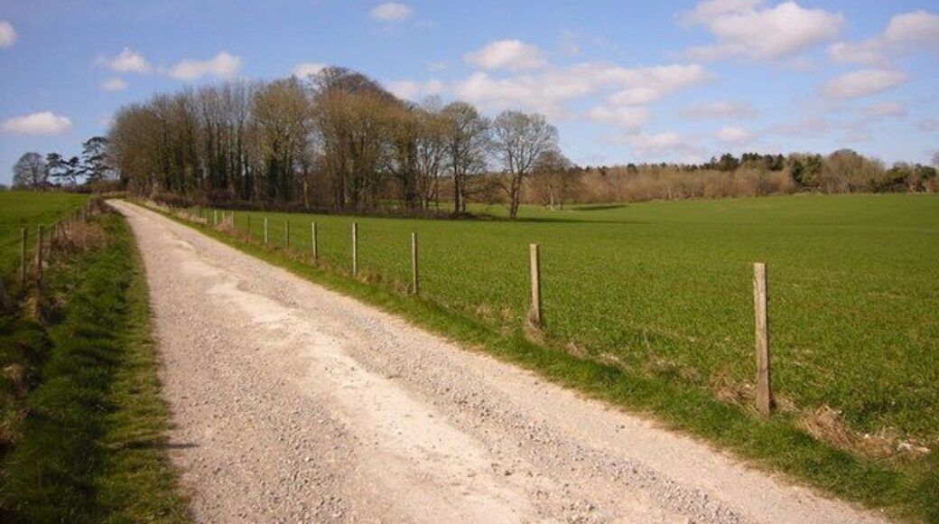 Maggot Clump On the 1:25000 map this copse is labelled as Maggot Clump.