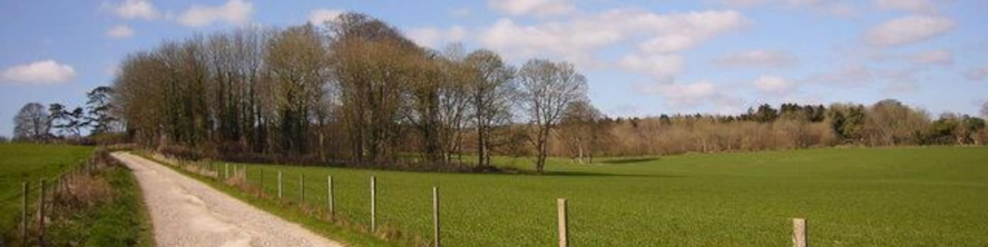 Maggot Clump On the 1:25000 map this copse is labelled as Maggot Clump.