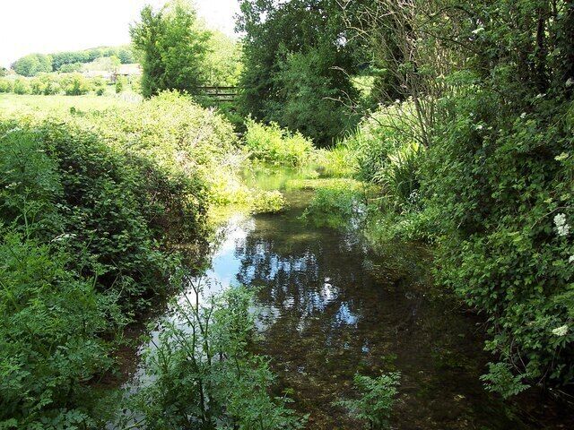 River Tarrant looking north at Tarrant Rushton