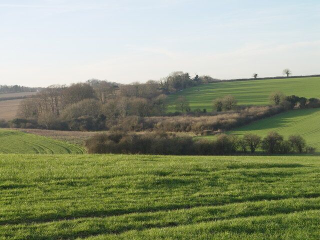 View towards Holly Brake
