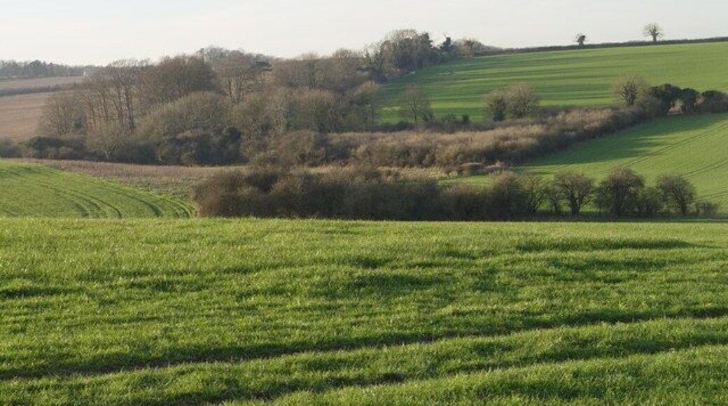 View towards Holly Brake