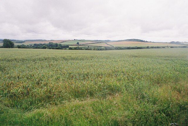Milborne St. Andrew: looking across the fields A view south across the mid-Dorset countryside, from a layby on the A354.