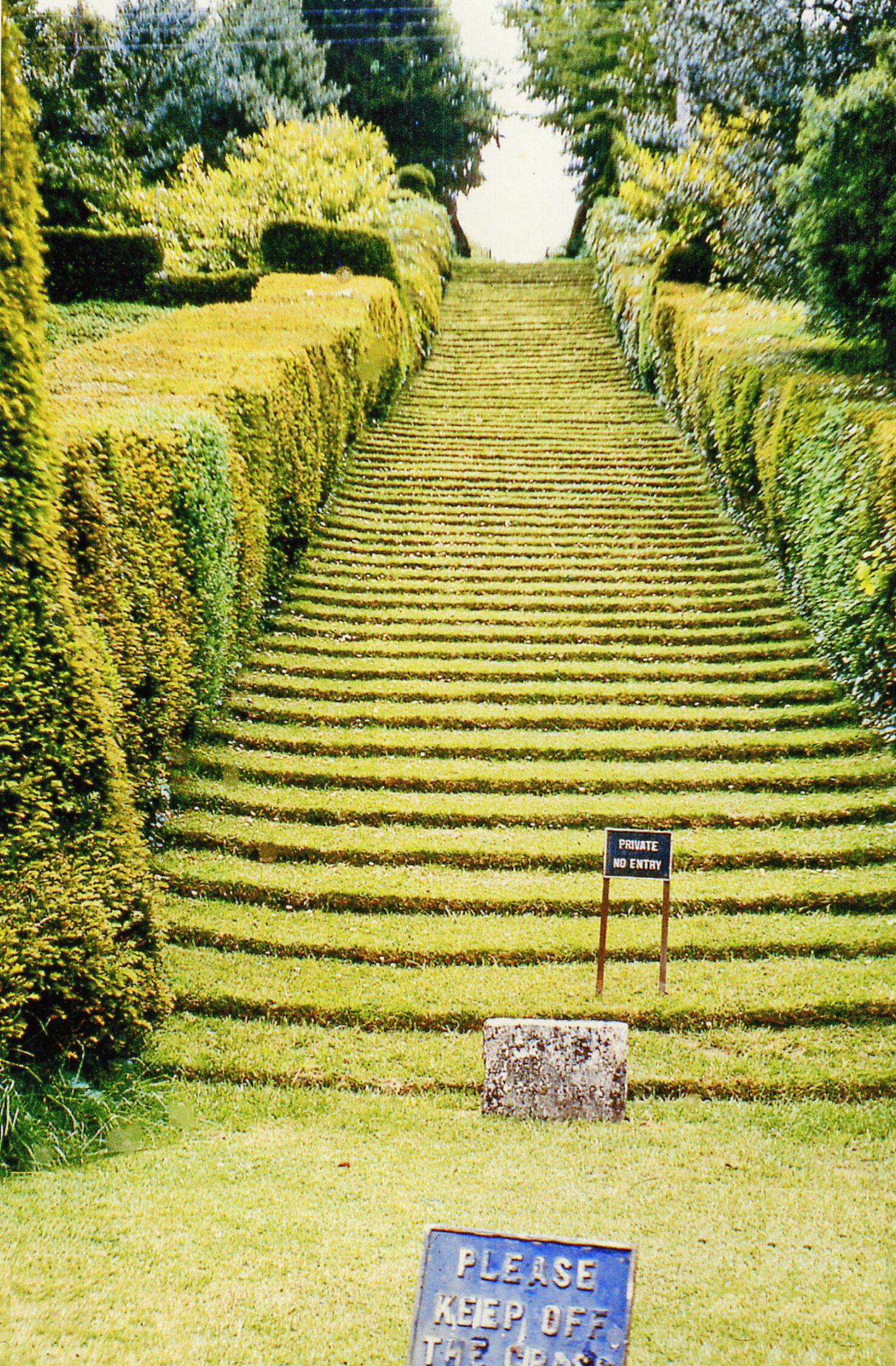 Grass steps at Milton Abbey