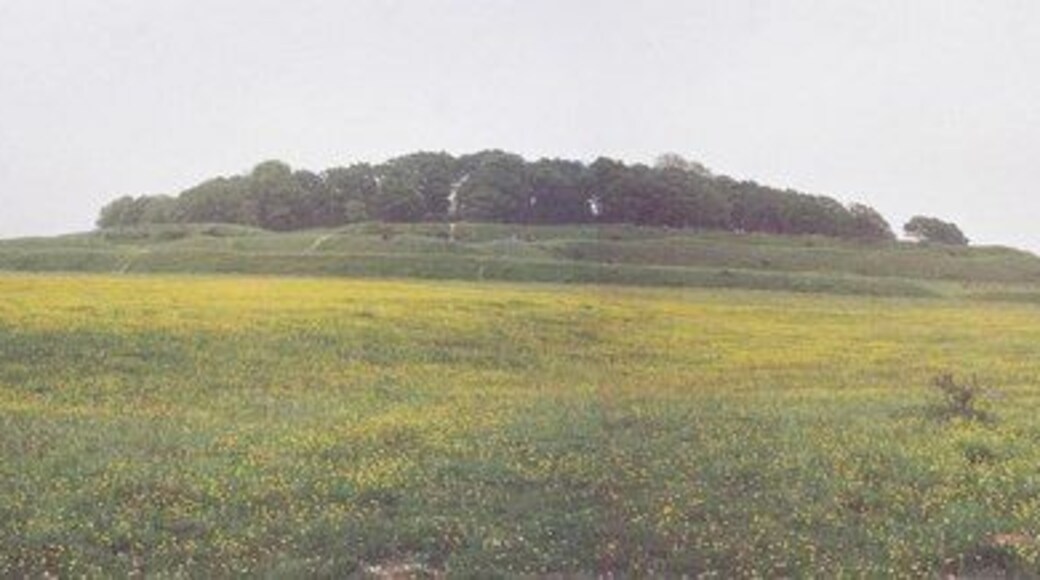 Atlas of Hillforts 3580 Shapwick: Badbury Rings A large Iron Age hillfort near Wimborne Minster.