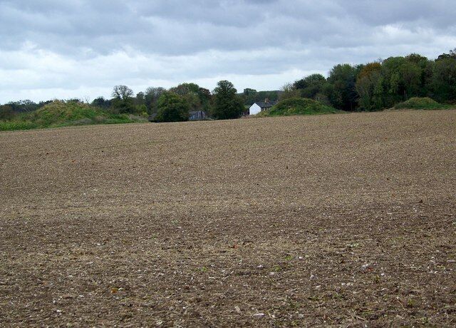 Solomon's Quarter Through the hedge from the footpath can be seen the curious parallel lines of regular grassy hummocks in Solomon's Quarter.