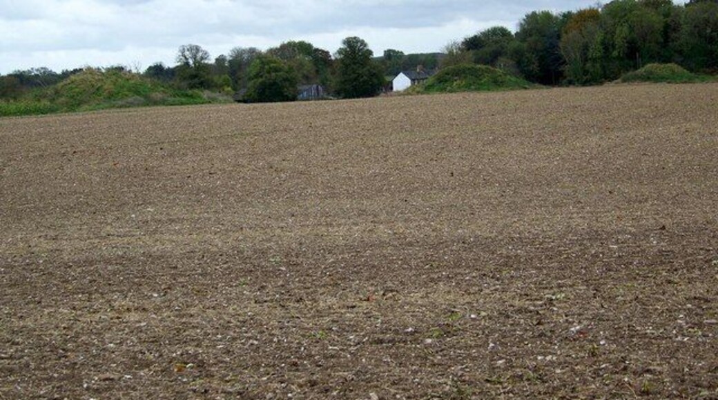 Solomon's Quarter Through the hedge from the footpath can be seen the curious parallel lines of regular grassy hummocks in Solomon's Quarter.