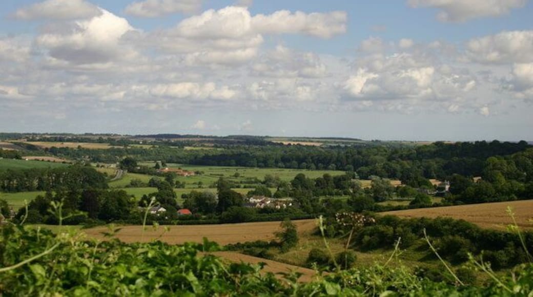 Norton Lane View of France Farm towards Blandford bypass from Norton Lane, Durweston