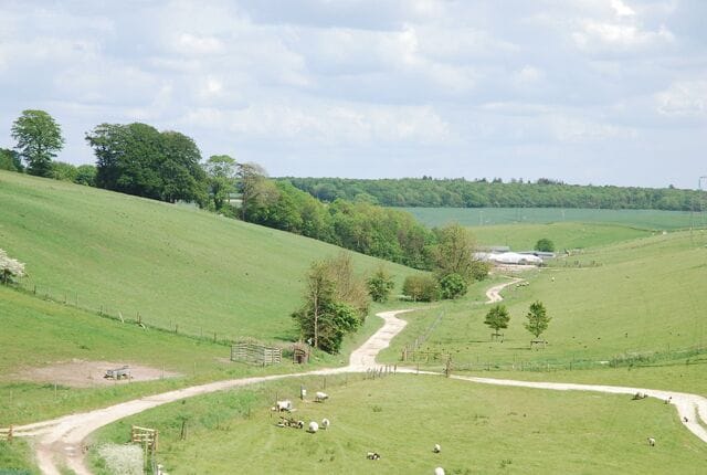 Winding Bridleways of South Down