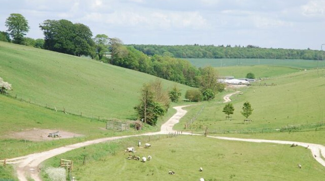 Winding Bridleways of South Down