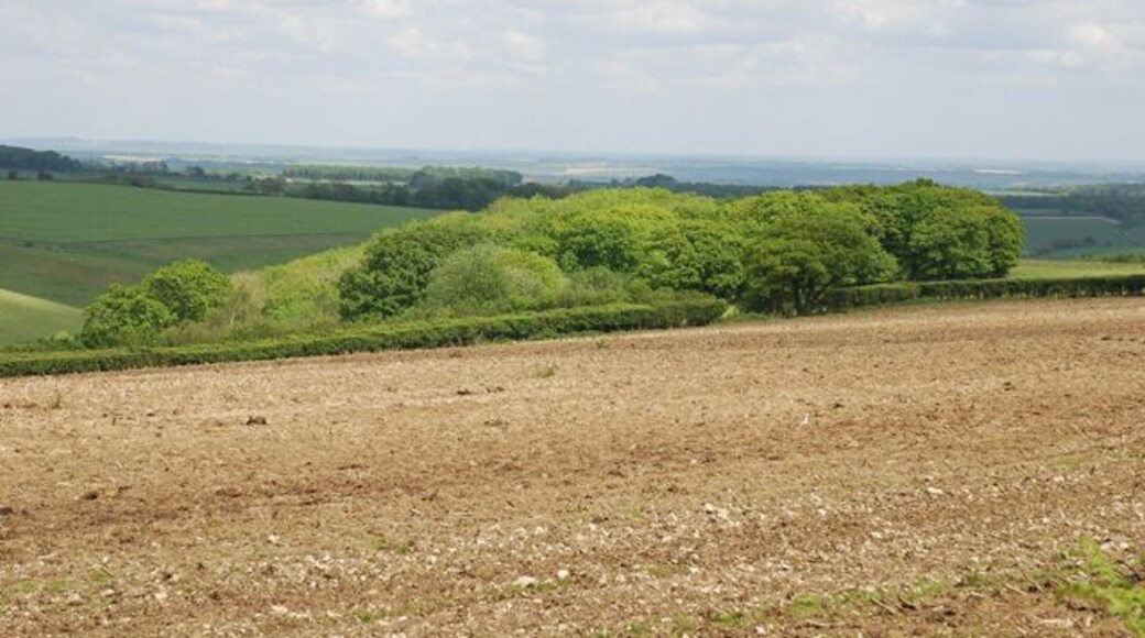 Fields by Farm Down Barn