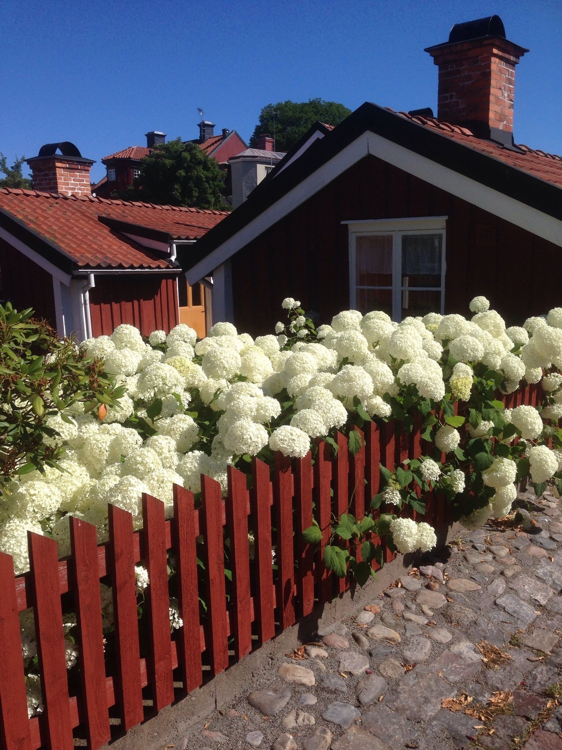 The old fishing village 