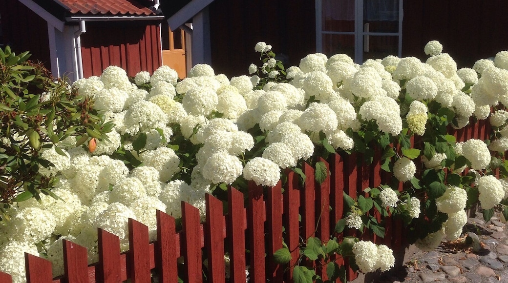 The old fishing village