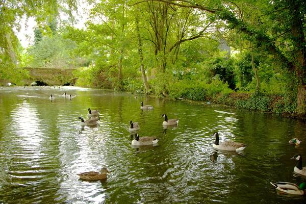 Waltham Abbey which includes a garden, bird life and forests
