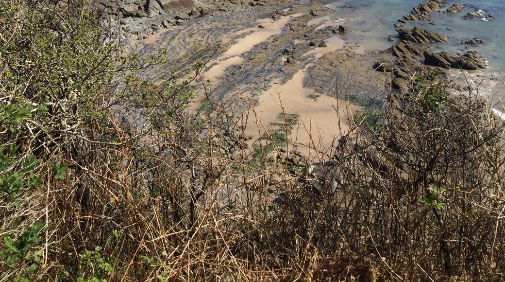 One of the beautiful beaches from the cliff coastal path Tenby - South Wales