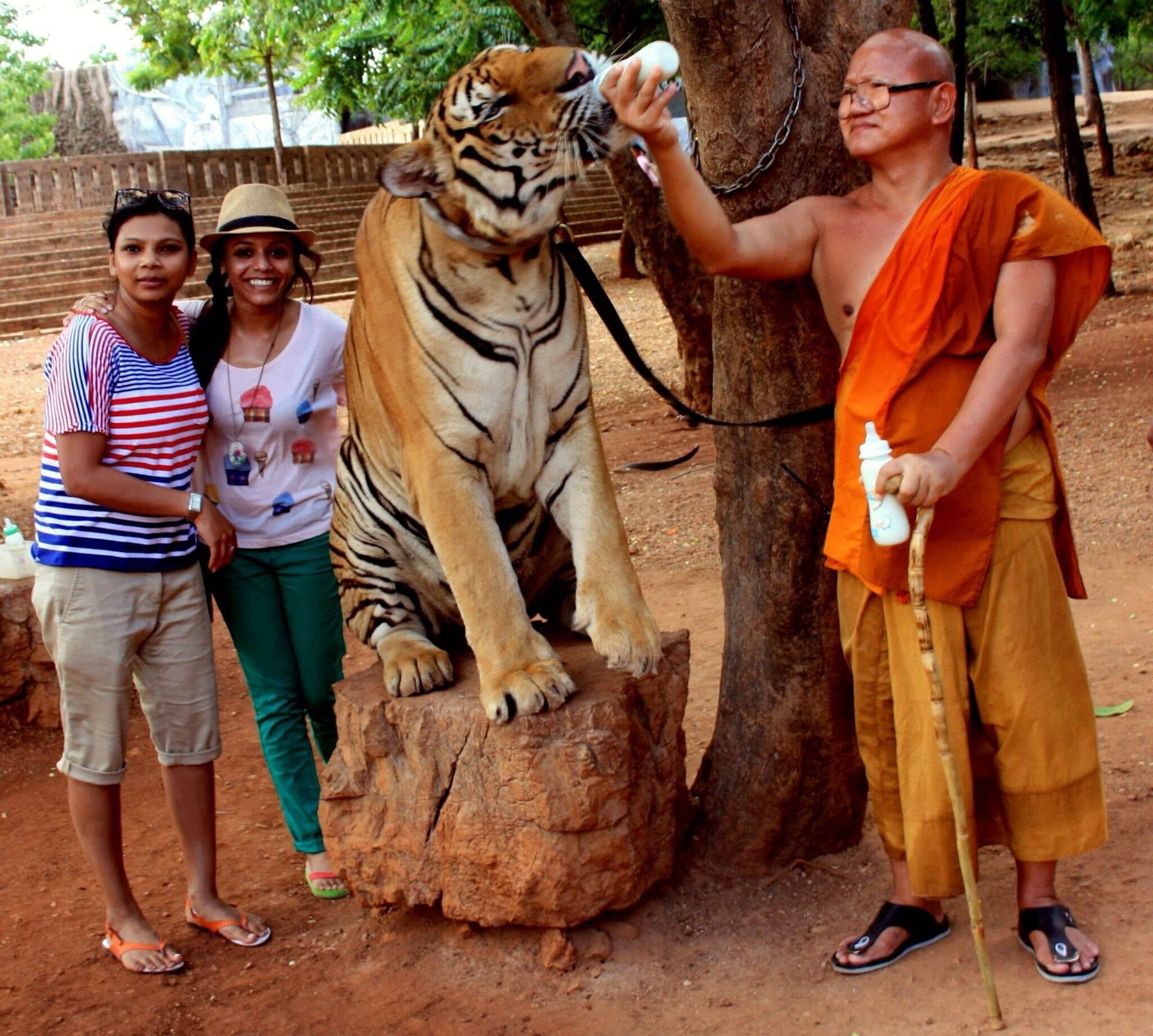 The Tiger Temple