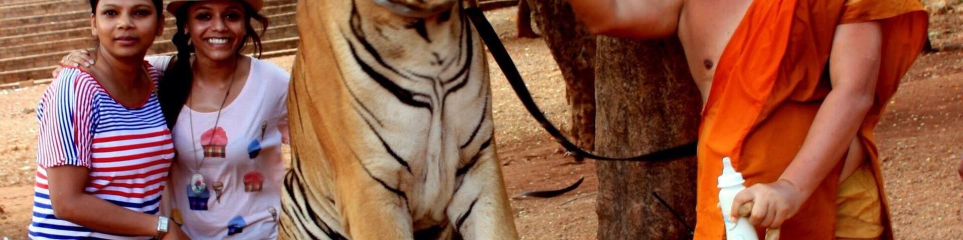 A tiger sitting on a rock with people standing beside it.