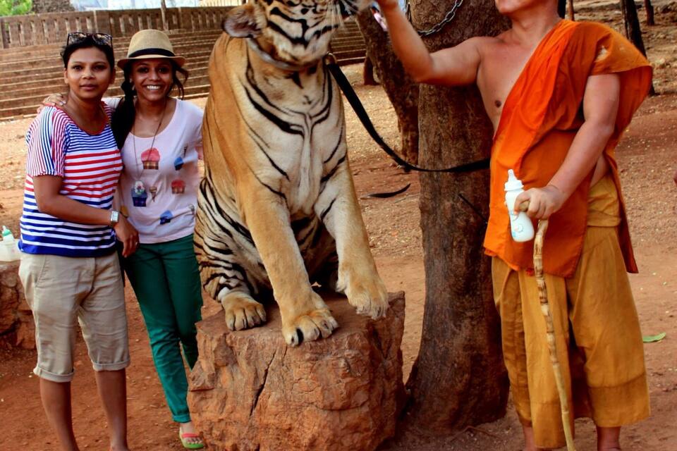 A tiger sitting on a rock with people standing beside it.