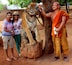 The Tiger Temple