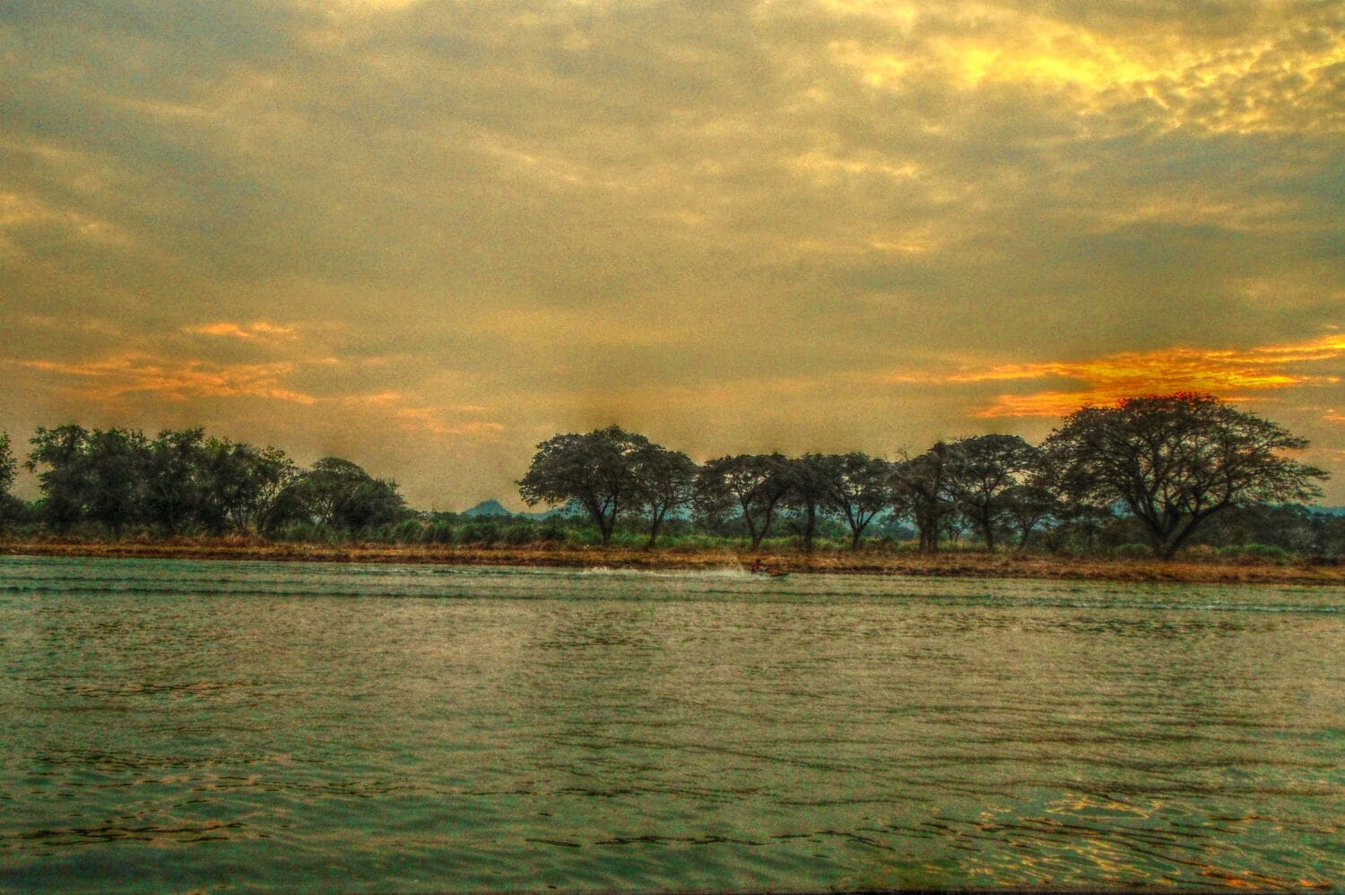 View from our room at Tara Raft