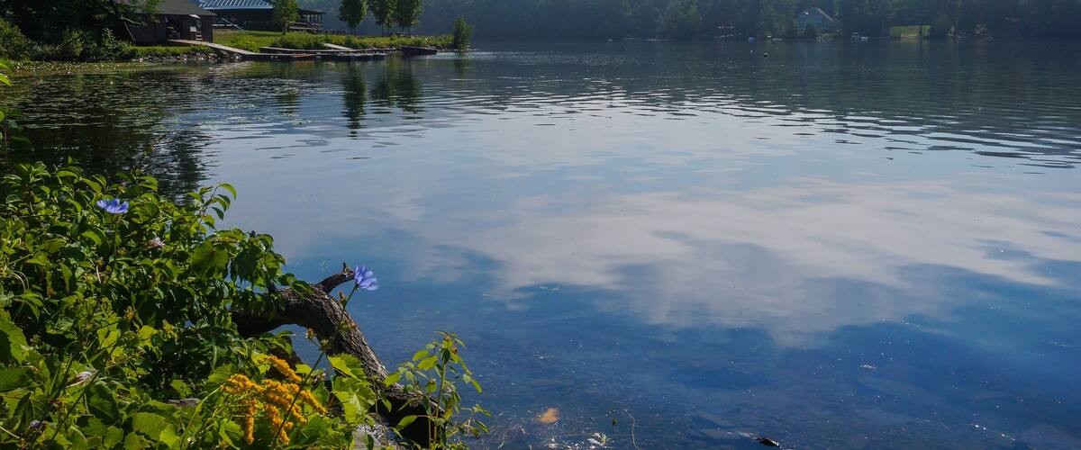 Morning at Lake Fairlee