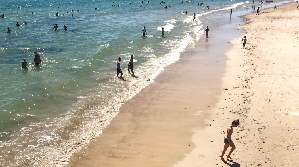 Glenelg, worth a day trip on a hot summers day to cool down.