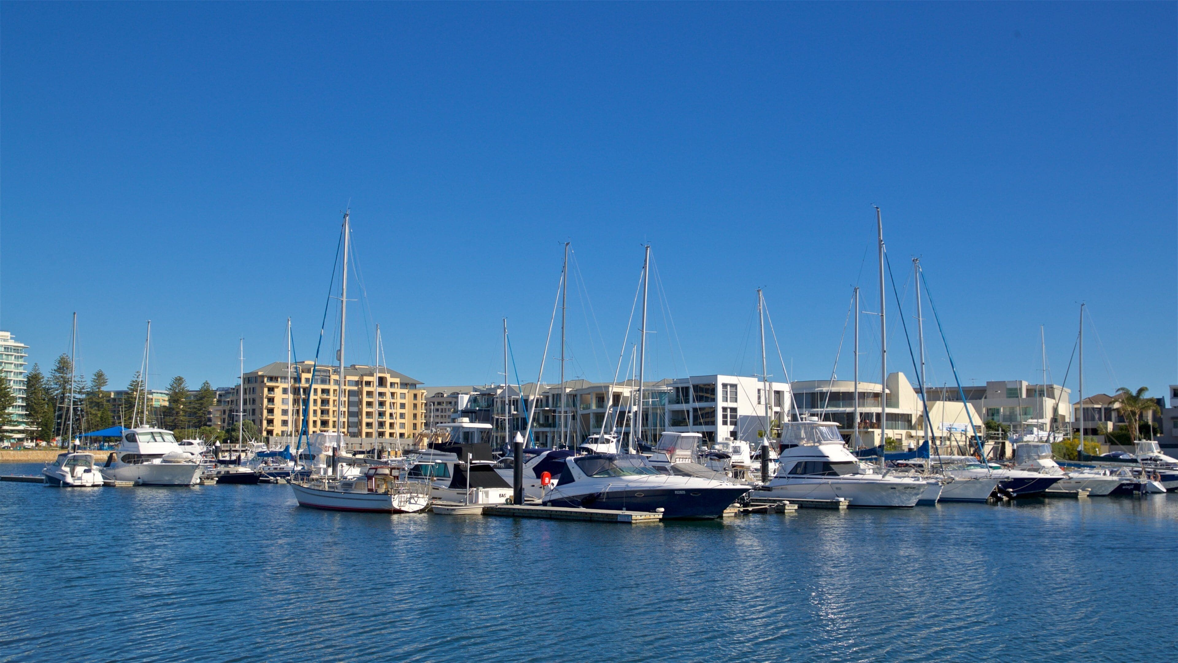 Glenelg showing a bay or harbor