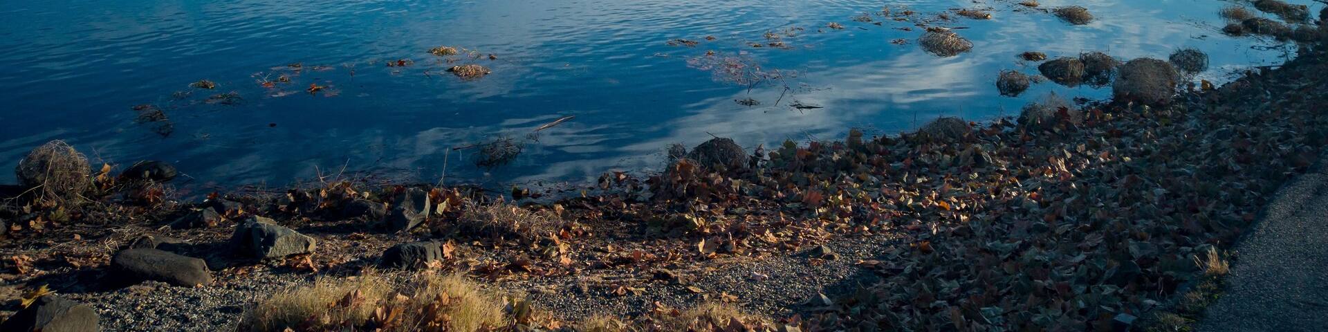 A steel bridge over a calm river with autumn leaves on the shore.