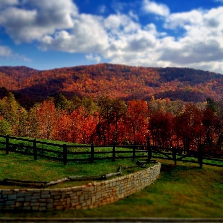 The brasstown resort overlook is a perfect place to see the entirety of the enchanted valley, Young Harris valley. To the south is Brasstown Bald, the tallest mountain in Georgia, stretching a GREAT height of 4,800 feet. Here at the resort you can go horseback riding for $25 a hour, get a spa day, play a great 18 holes of golf, or at night look up at the stars. On Fridays YHC, Young Harris College opens its observatory at this overlook and anyone is welcome to come and look up at the stars using a variety of telescopes. If you want to come for the leaves in the southern Appalachians I would recommend October 4th-20th to be here for prime color. 