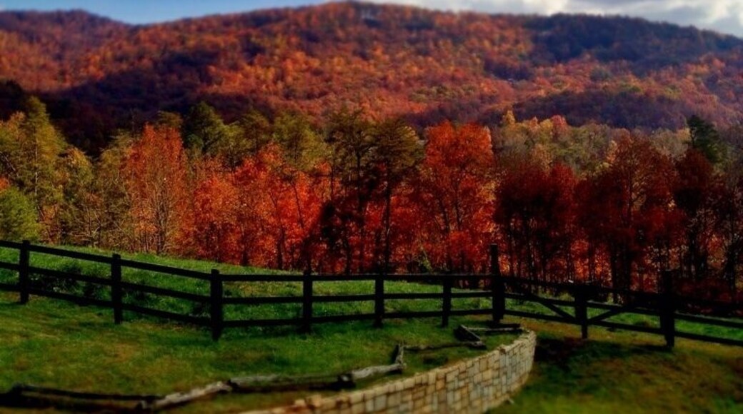 The brasstown resort overlook is a perfect place to see the entirety of the enchanted valley, Young Harris valley. To the south is Brasstown Bald, the tallest mountain in Georgia, stretching a GREAT height of 4,800 feet. Here at the resort you can go horseback riding for $25 a hour, get a spa day, play a great 18 holes of golf, or at night look up at the stars. On Fridays YHC, Young Harris College opens its observatory at this overlook and anyone is welcome to come and look up at the stars using a variety of telescopes. If you want to come for the leaves in the southern Appalachians I would recommend October 4th-20th to be here for prime color.