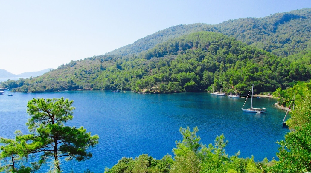 The word turquoise comes from the French for Turkish. It makes a perfect sense, doesn't it?
Tasyaka Bay (or some call it Tomb Bay) has a great sea. You can hike to see that wonderful view and Carian & Lycian rock tombs (Ionic temple, house, and pigeon-hole tombs) closely.
Peaceful place to swim, hike, cast anchor and spend the night. #BestOf5 #hiking #sailing #blue #waterlust