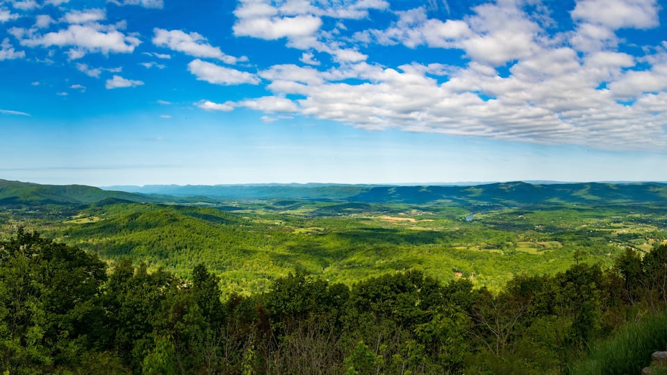 A mountainous landscape with dense forests and a stone wall in the foreground.