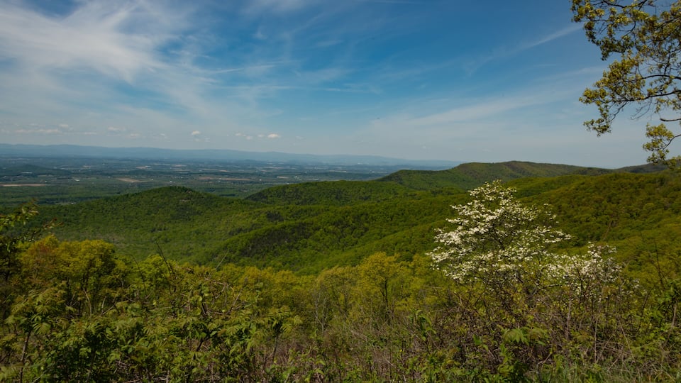 A mountainous landscape with lush greenery and a clear blue sky.