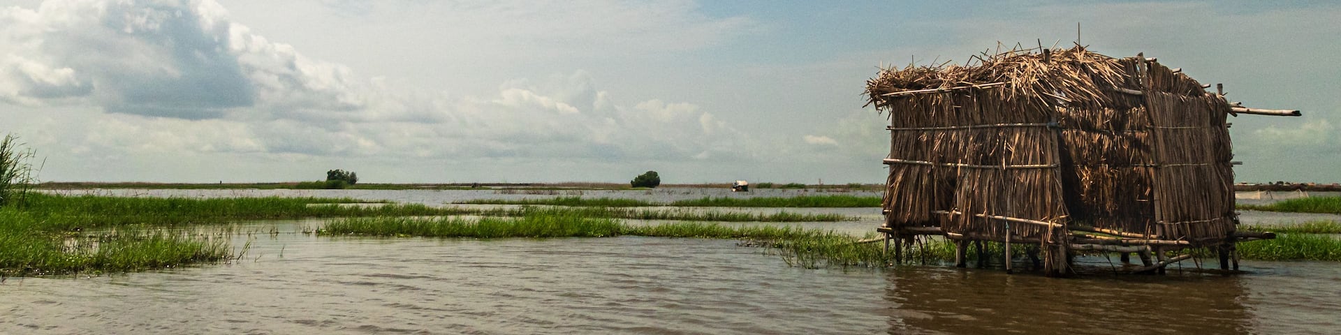 A thatched-roof structure in a flooded rice paddy.