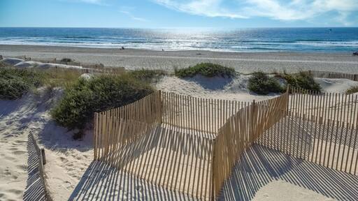 Portugal, Aveiro, praia da Barra, beautiful beach in summer